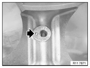 Crankshaft With Bearing